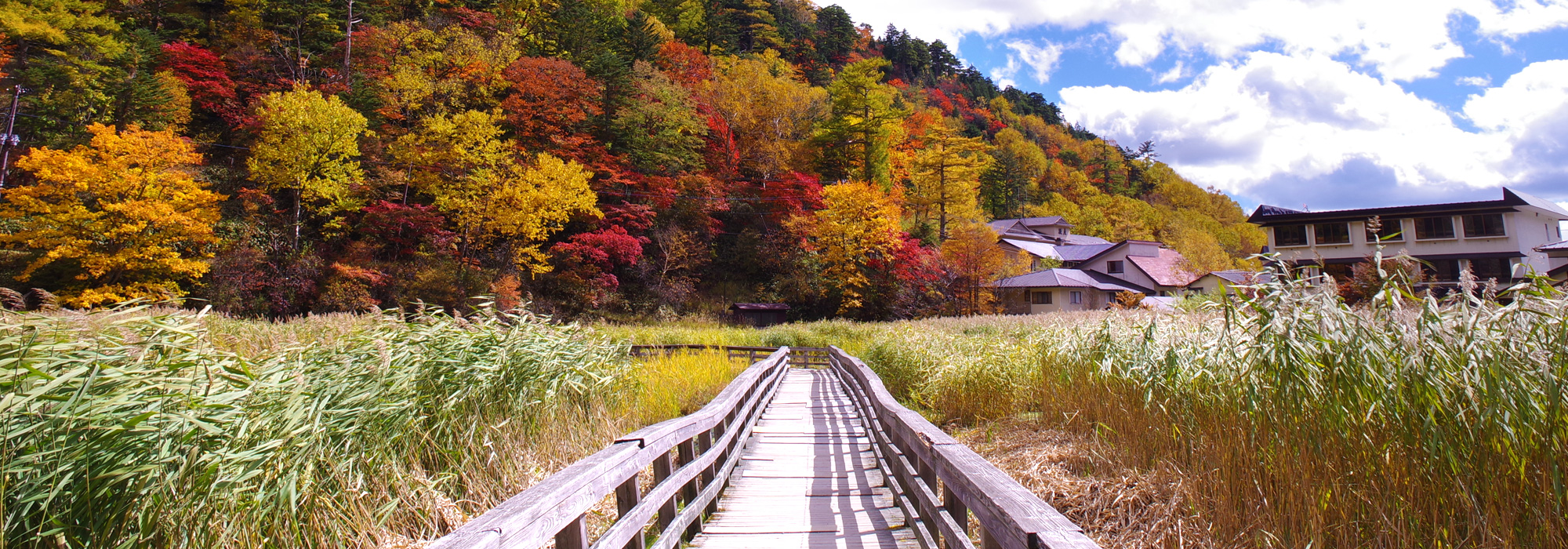 交通情報 – 奥日光湯元温泉旅館協同組合