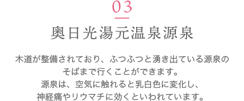 奥日光湯元温泉源泉