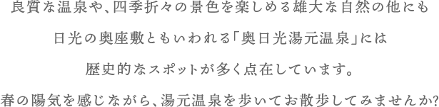 春のお散歩コース