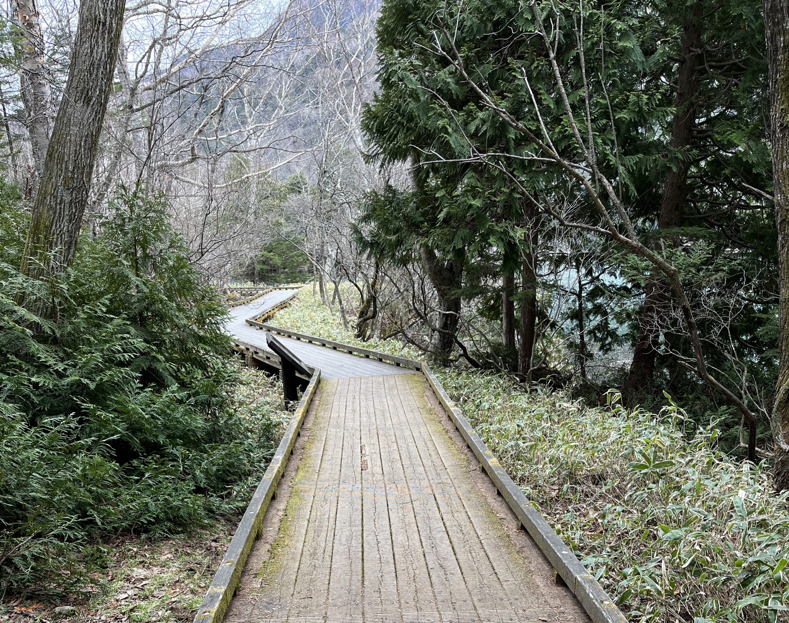 湯ノ湖の遊歩道がきれいになりました！