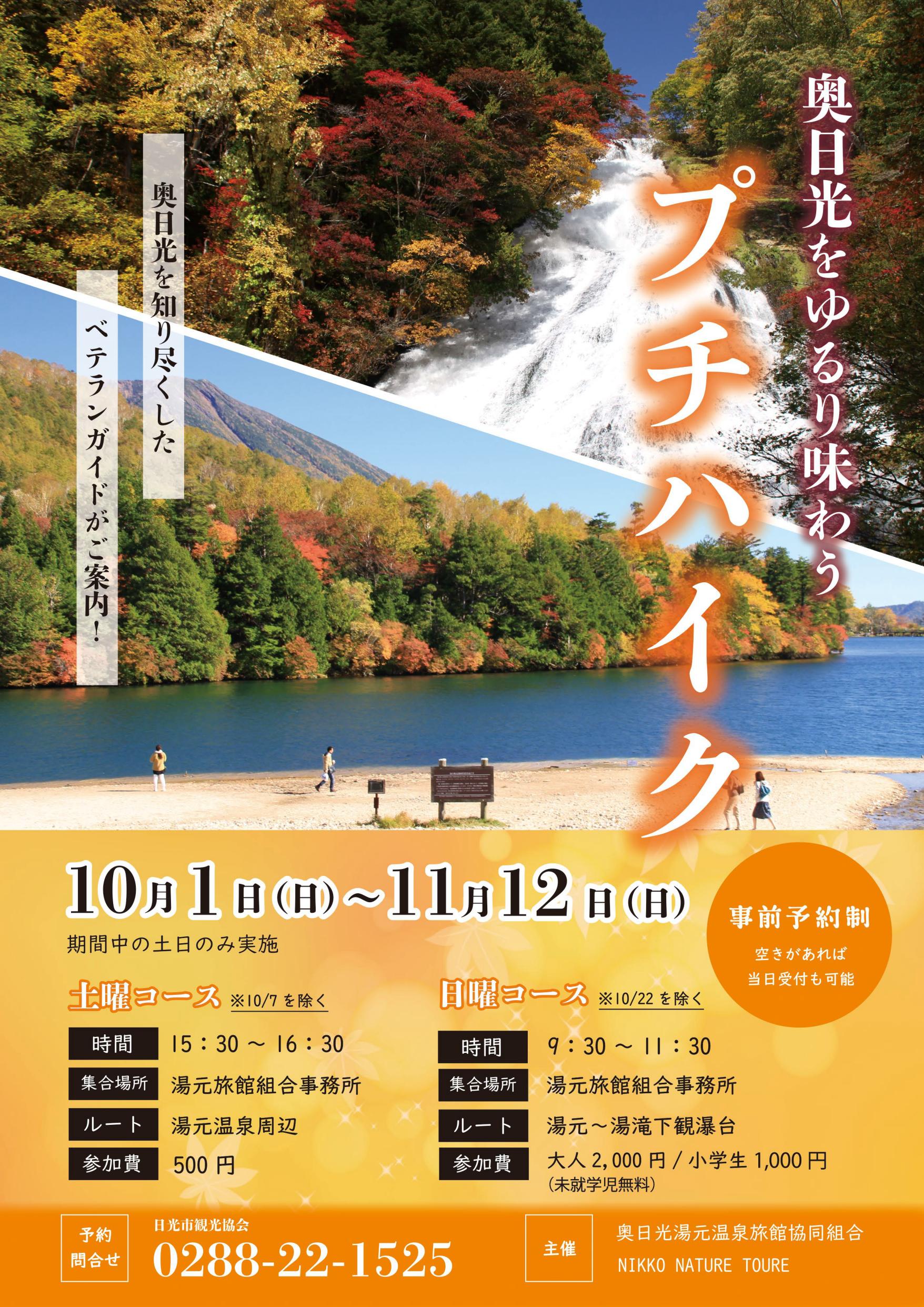 秋も散策ツアー実施します