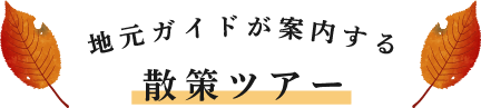 地元ガイドが案内する散策ツアー