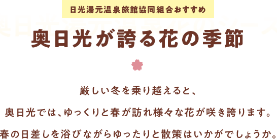 奥日光湯が誇る花の季節