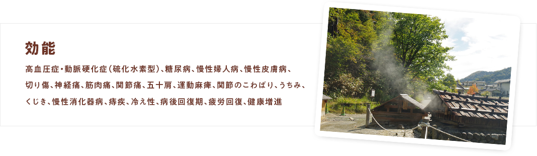 湯元温泉は日本で四番目に濃い硫黄温泉。毎日色が変わります。
        今日は緑、明日は白かコバルトグリーン、温泉が生きている証拠です。
        濃い硫黄泉で心身共にゆっくり癒されてはいかがでしょうか。
