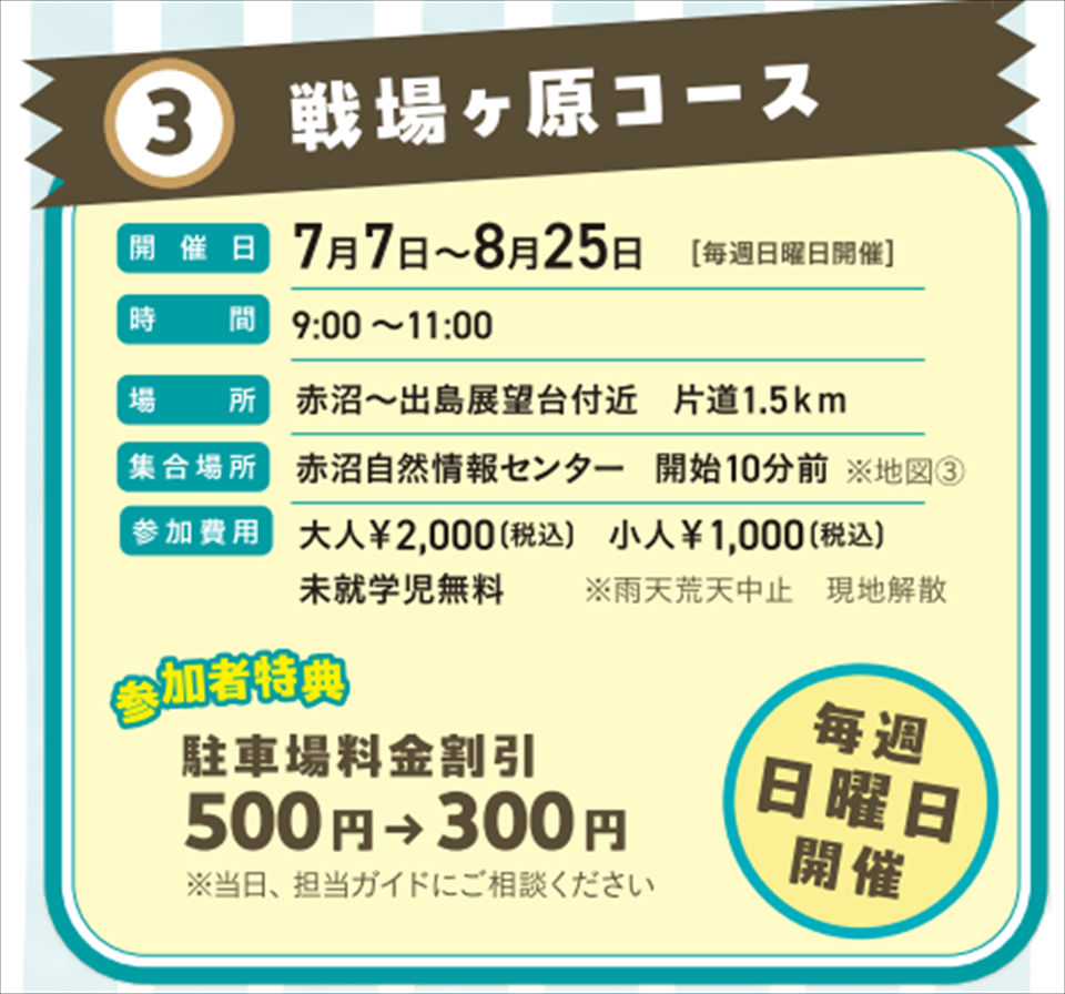 プチハイク　2024年夏