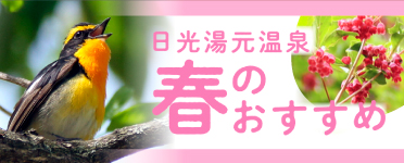 日光湯元温泉　春のおすすめ