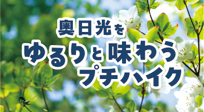 2025春のゆるりプチハイク始まります！