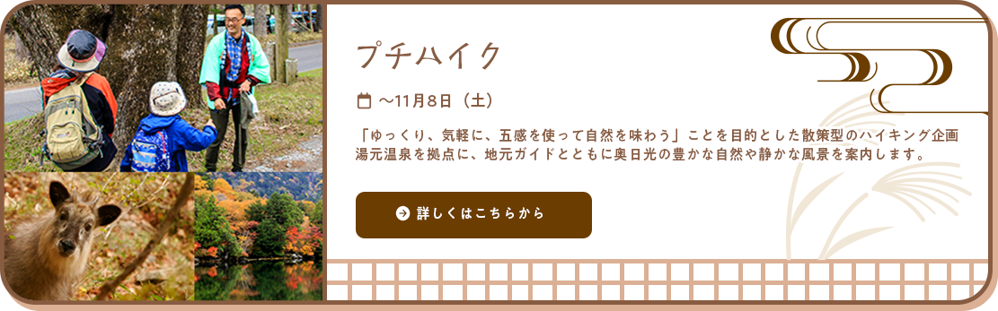 プチハイク ～11月8日（土）「ゆっくり、気軽に、五感を使って自然を味わう」ことを目的とした散策型のハイキング企画
湯元温泉を拠点に、地元ガイドとともに奥日光の豊かな自然や静かな風景を案内します。