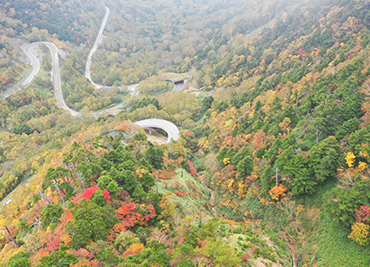 金精峠の紅葉