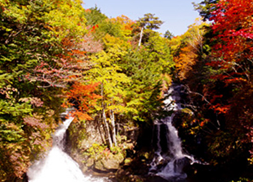 竜頭滝の紅葉