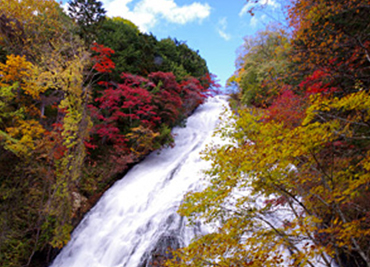 湯滝の紅葉
