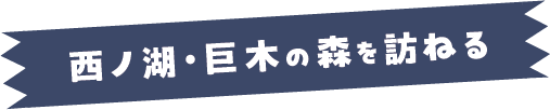 西ノ湖・巨木の森を訪ねる