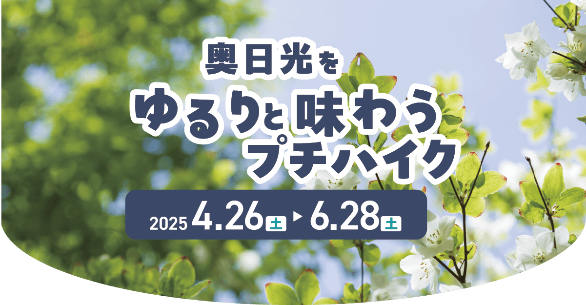 奥日光をゆるりと味わうプチハイク