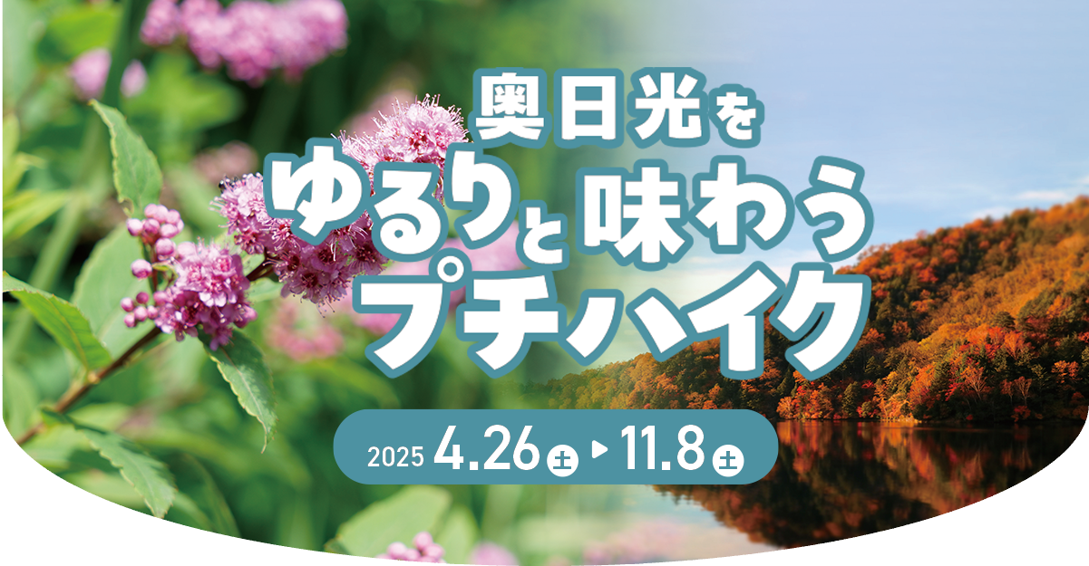 奥日光をゆるりと味わうプチハイク
