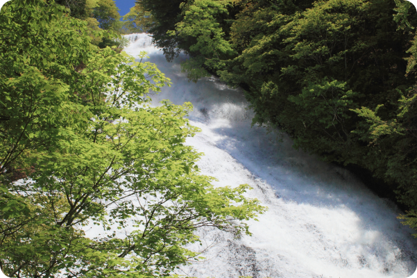 兎島の写真