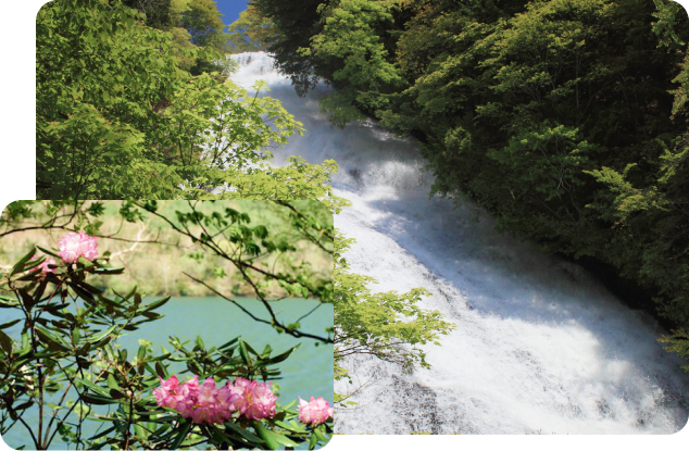 兎島の写真